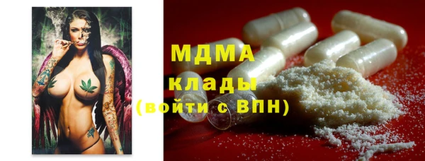 стаф Алзамай