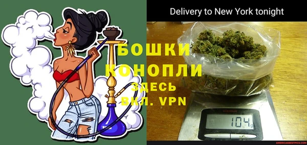 сатива Осинники