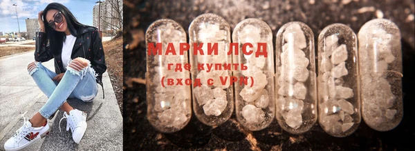 стаф Алзамай