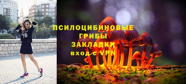 стаф Алзамай