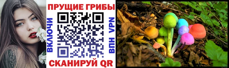 Псилоцибиновые грибы Psilocybe blacksprut ссылка Урай