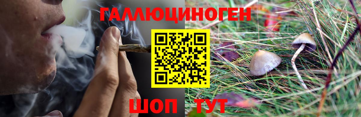 Псилоцибиновые грибы прущие грибы  Вход с VPN  Урай 