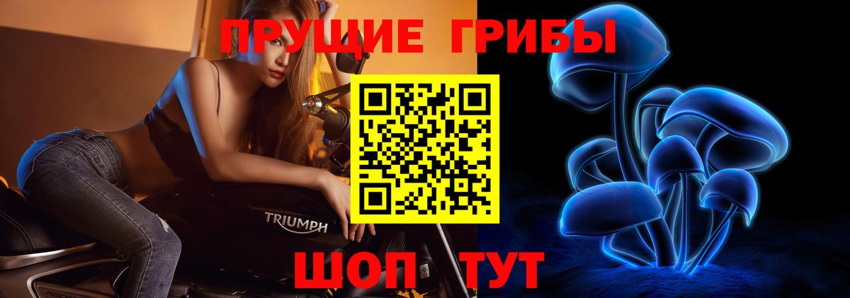 Галлюциногенные грибы прущие грибы Урай